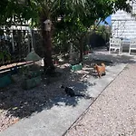 Βίλα Mandarin Opuzen (Dubrovnik-Neretva)