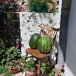 Mandarin Βίλα Opuzen (Dubrovnik-Neretva)