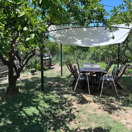 Mandarin Opuzen (Dubrovnik-Neretva)