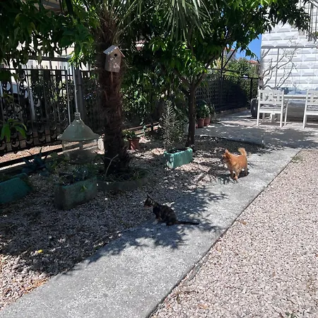 Villa Mandarin Opuzen (Dubrovnik-Neretva)