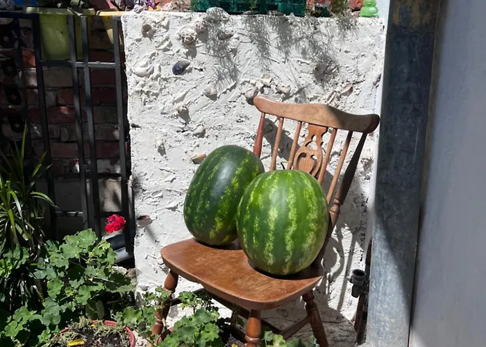 Mandarin 别墅 Opuzen (Dubrovnik-Neretva)